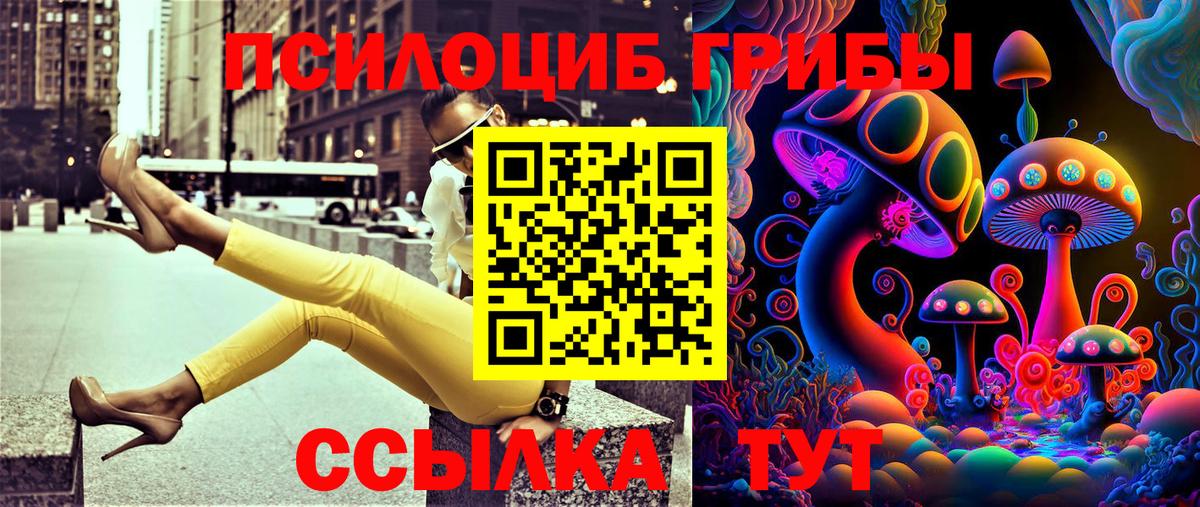 Куйбышев  Псилоцибиновые грибы Cubensis  Псилоцибиновые грибы Cubensis  Вход с VPN 
