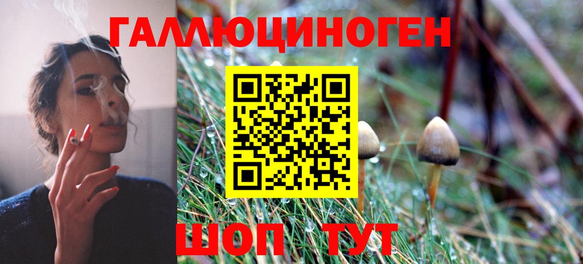 Галлюциногенные грибы Magic Shrooms Куйбышев